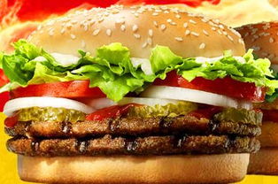 哆哆基 引領養生新風尚，快餐行業的健康革命者